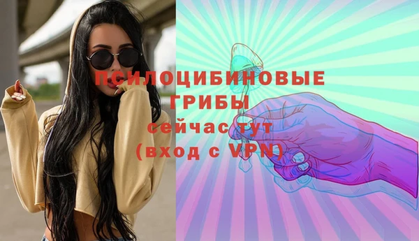 кристаллы Инта